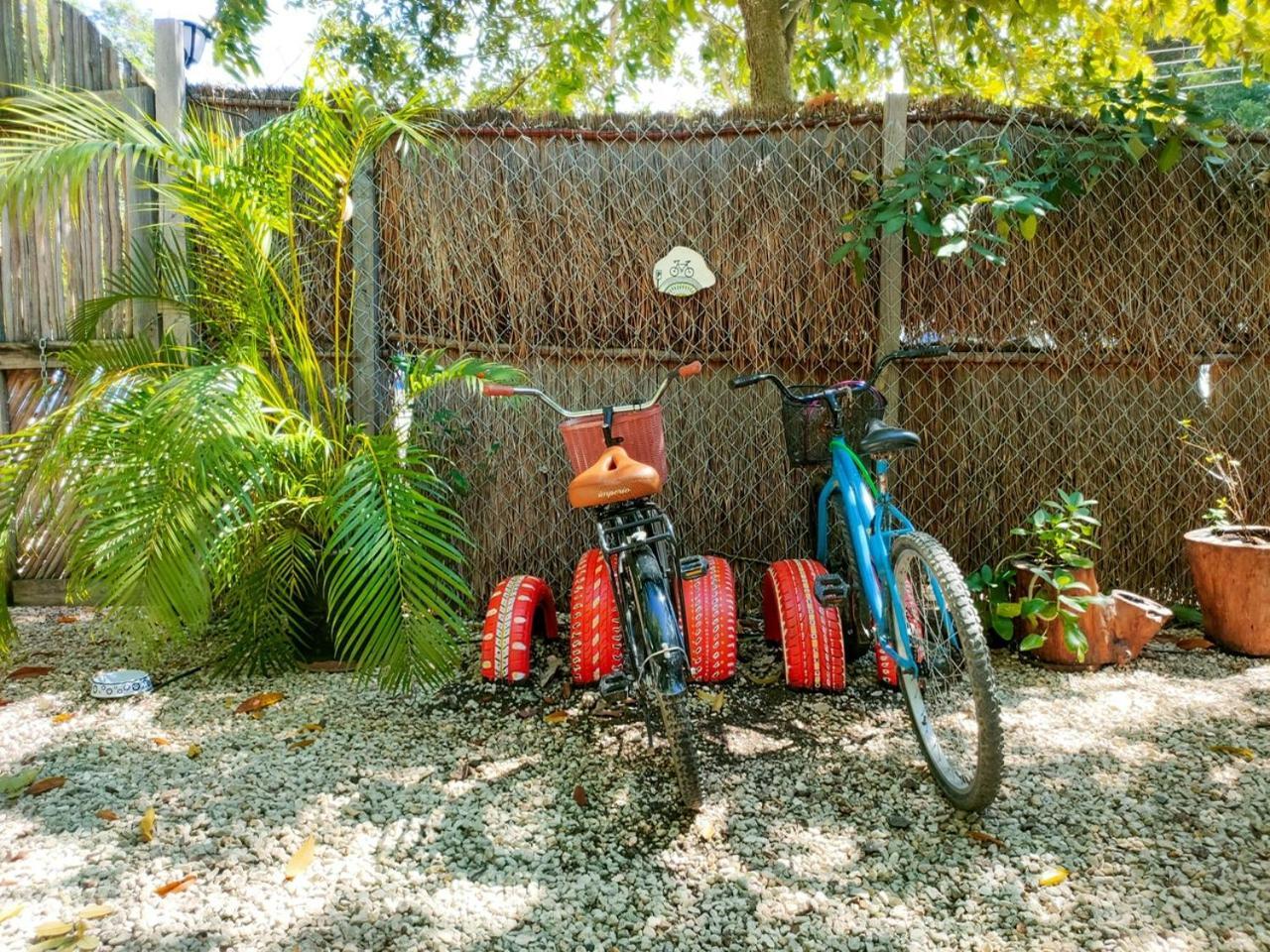 Casa Selva Y Arte -gratis Bicis & Kayyaks *