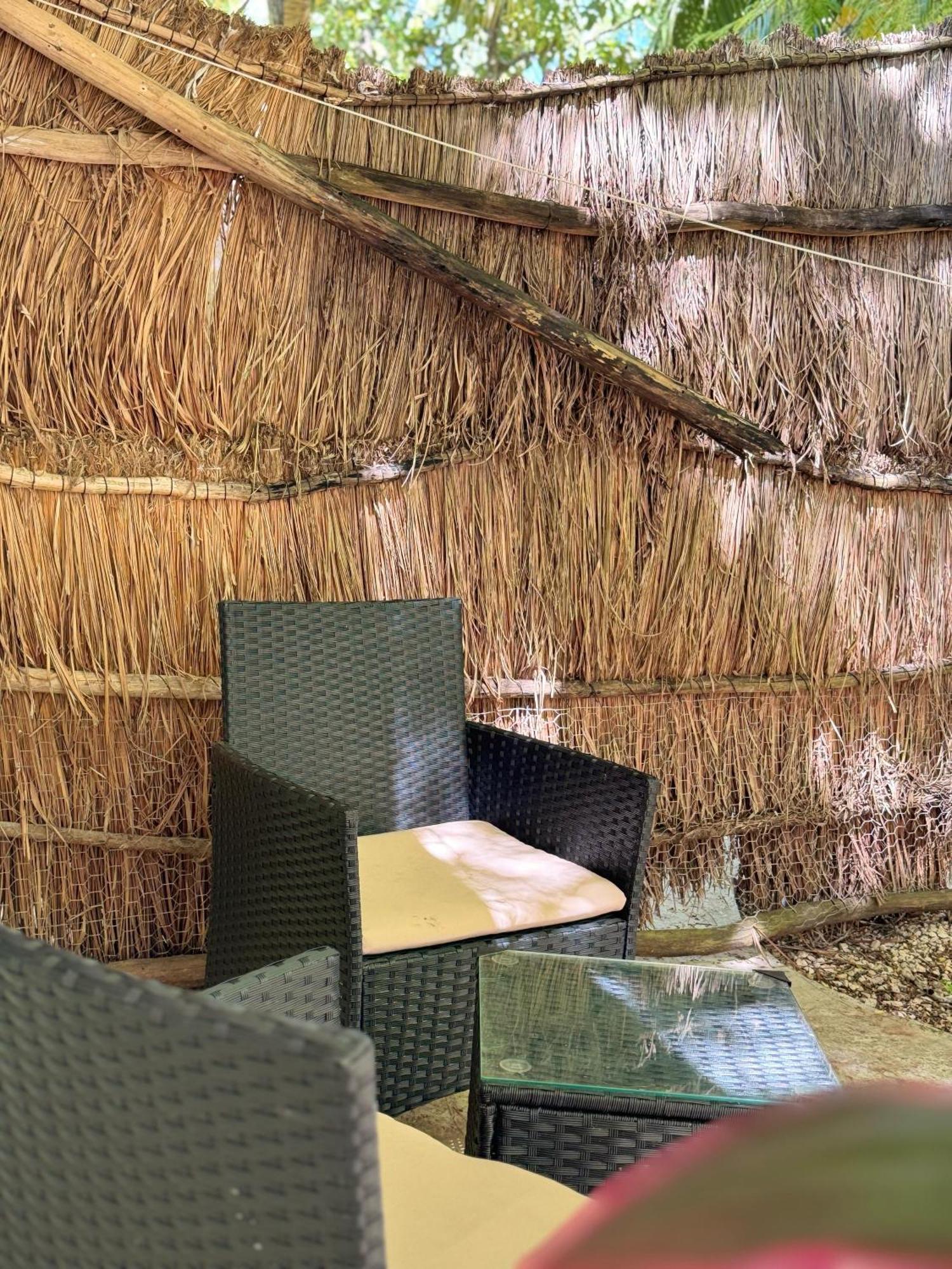 Casa Selva Y Arte -gratis Bicis & Kayyaks Hotel