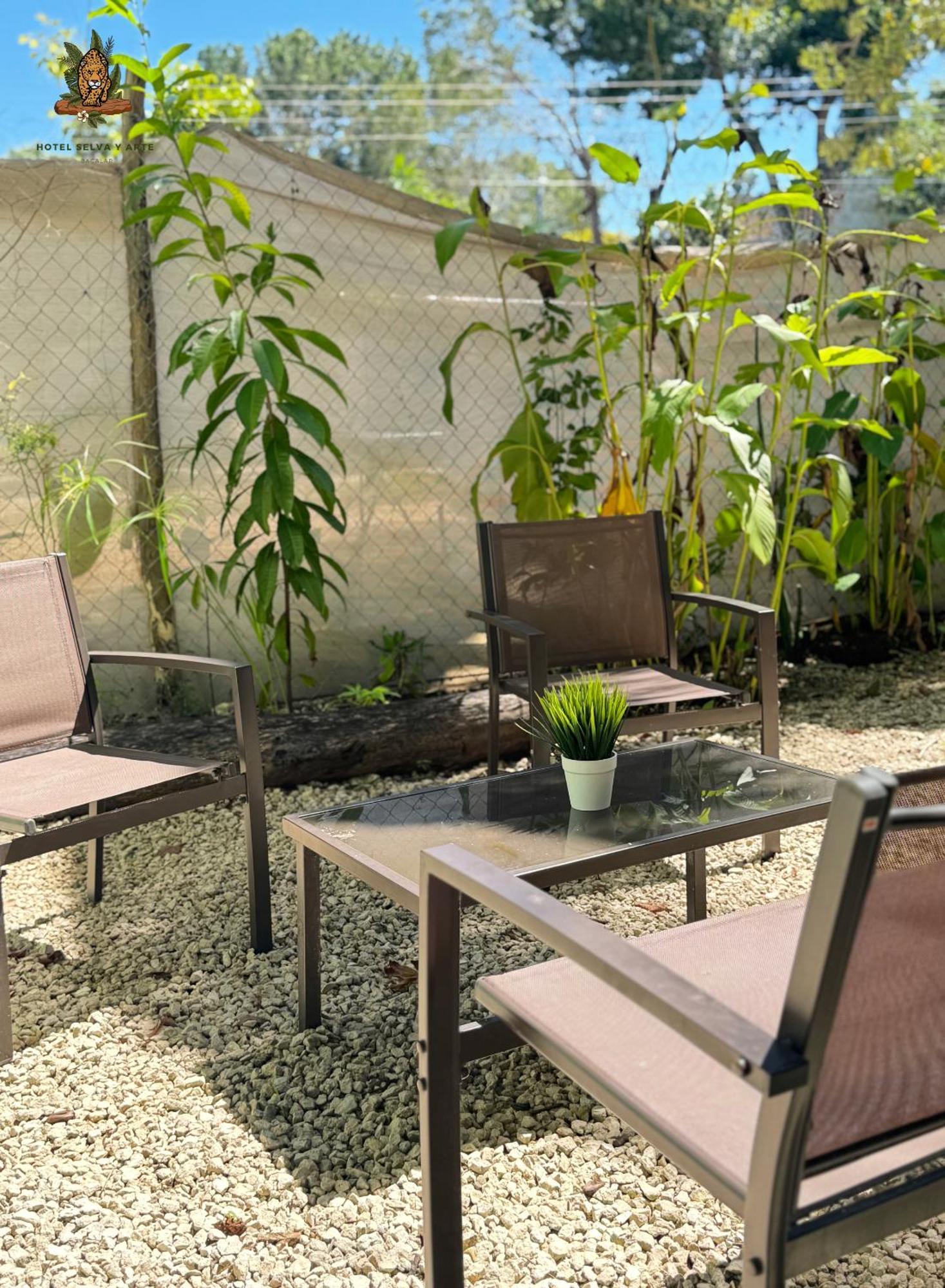 Hotel Casa Selva Y Arte -gratis Bicis & Kayyaks