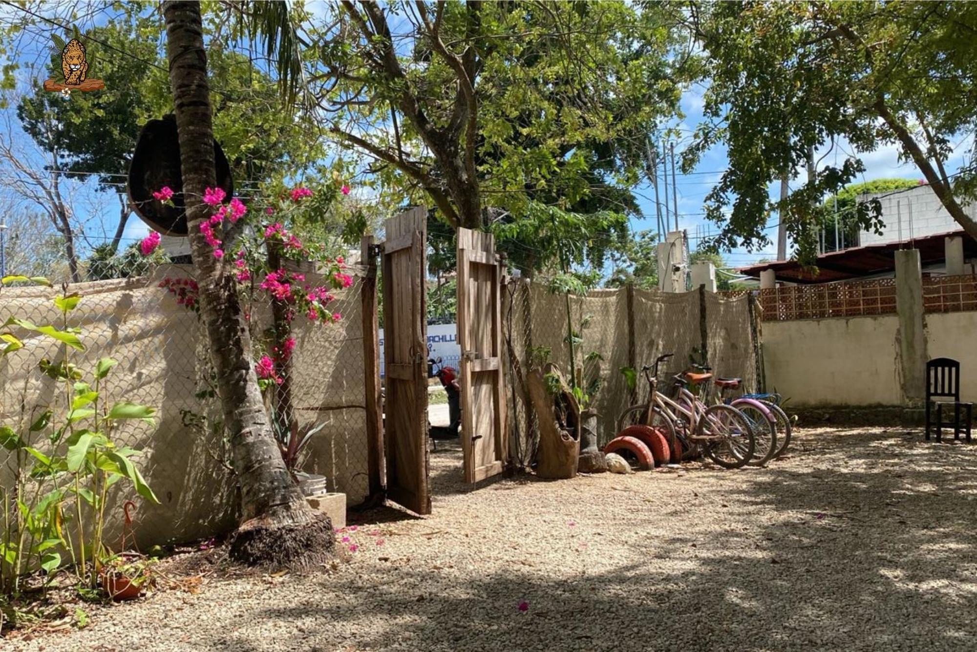 Casa Selva Y Arte -gratis Bicis & Kayyaks Hotel Bacalar